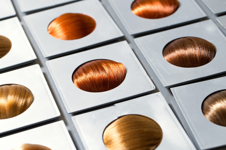 Hair. Colorful hair tone options